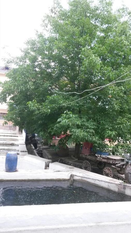 Alanlar Alabalik Ve Otel Ağlasun Exteriér fotografie